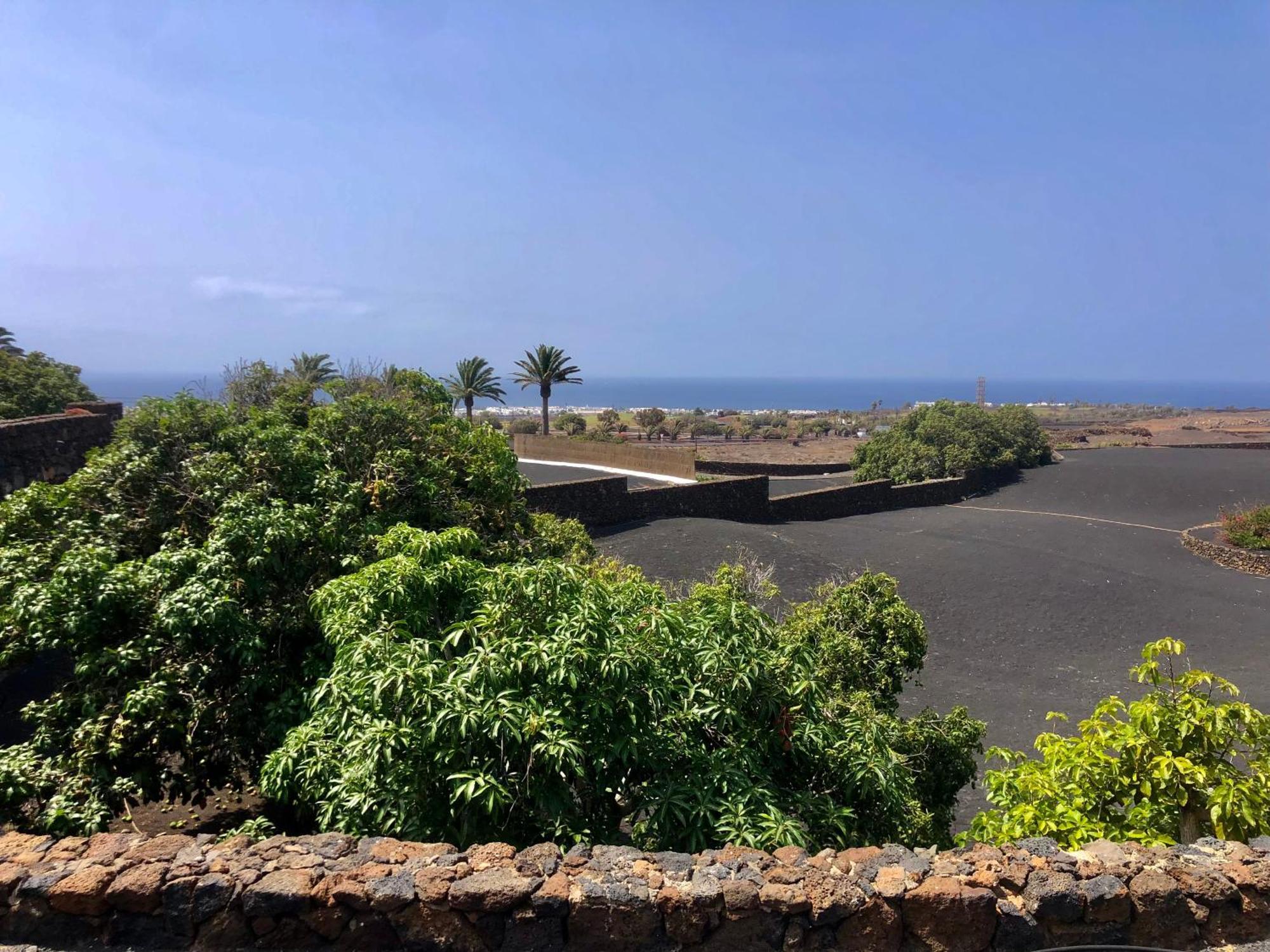 Villa Luciano "Spirit Of The Canaries" ติอาส ภายนอก รูปภาพ